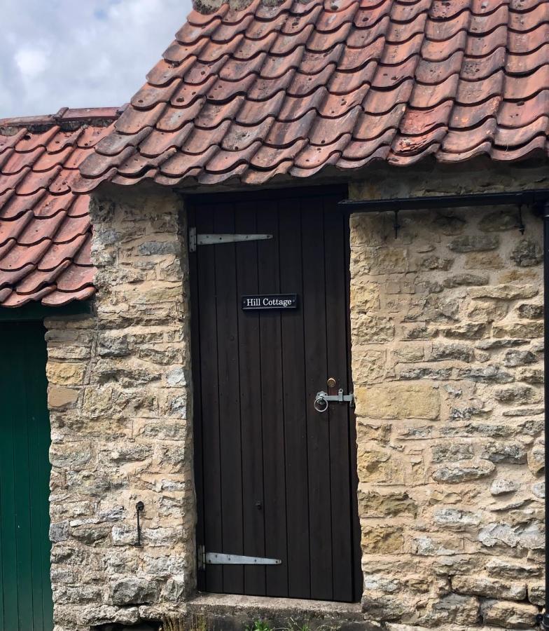 Hill Cottage, Thornton-Le-Dale 桑顿代尔 外观 照片